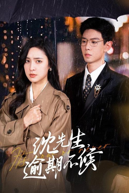 沈先生,逾期不候 backdrop