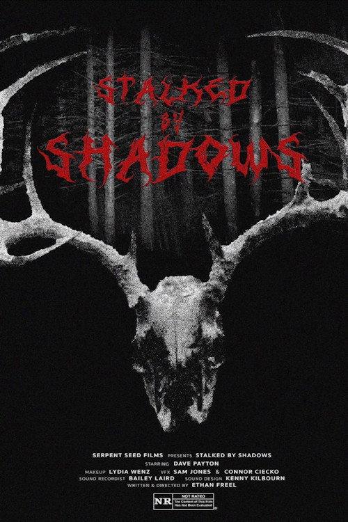 Stalked by Shadows backdrop