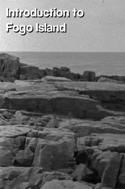 Introduction to Fogo Island backdrop