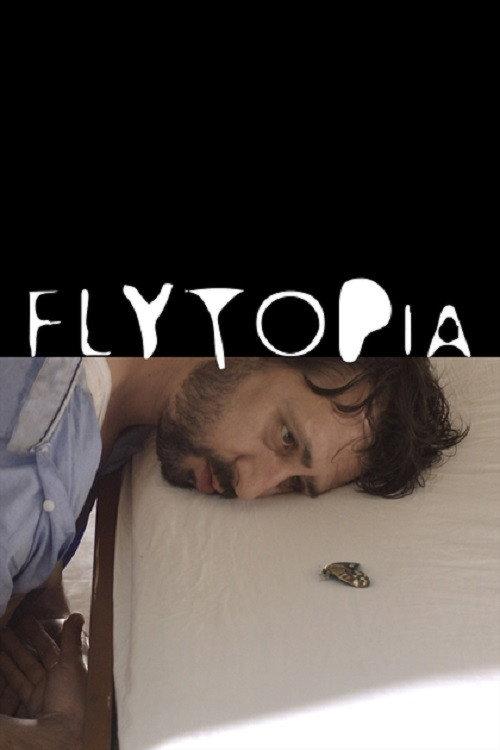 Flytopia backdrop