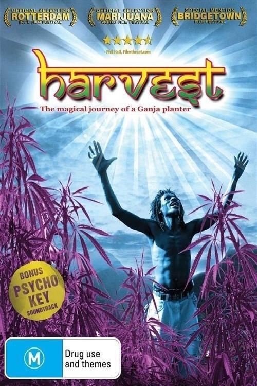 Harvest backdrop