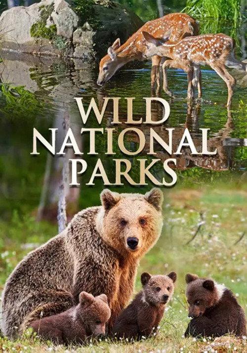 Wild National Parks backdrop