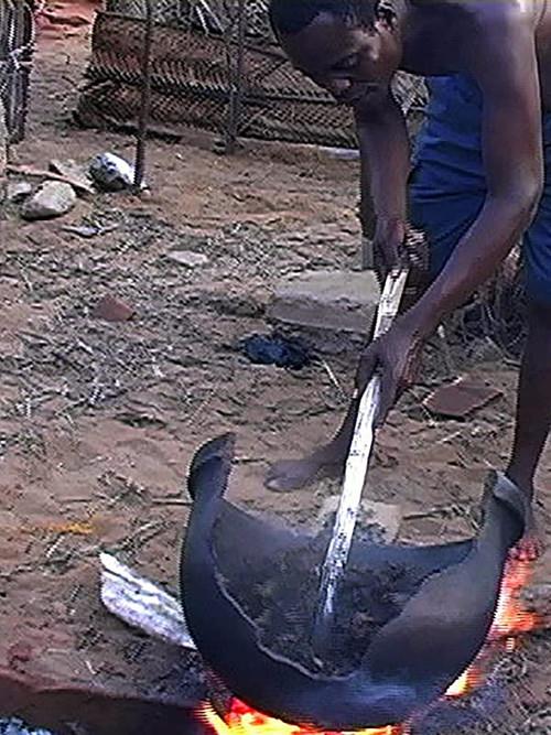 African Herbsmen: Healing and Religion along the Bight of Benin backdrop