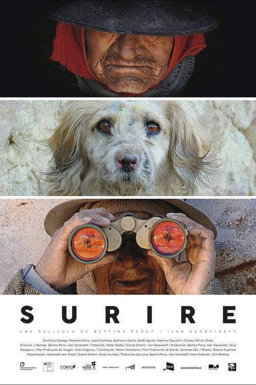 Surire backdrop