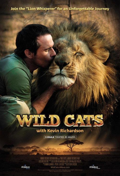 Wild Cats 3D backdrop