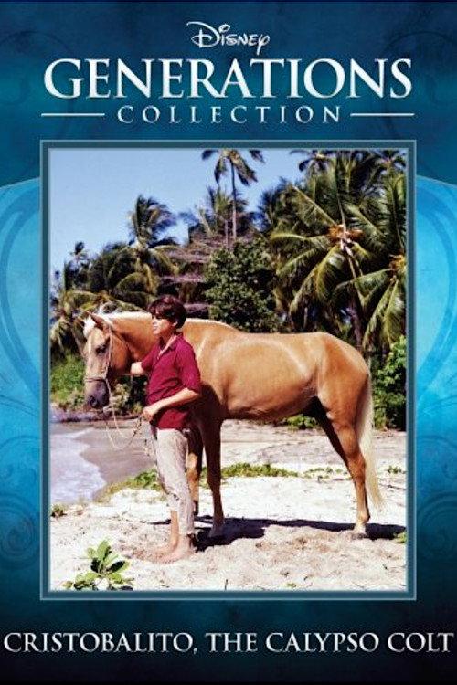 Cristobalito, the Calypso Colt backdrop