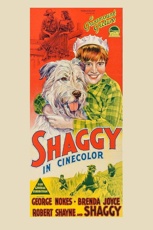 Shaggy backdrop