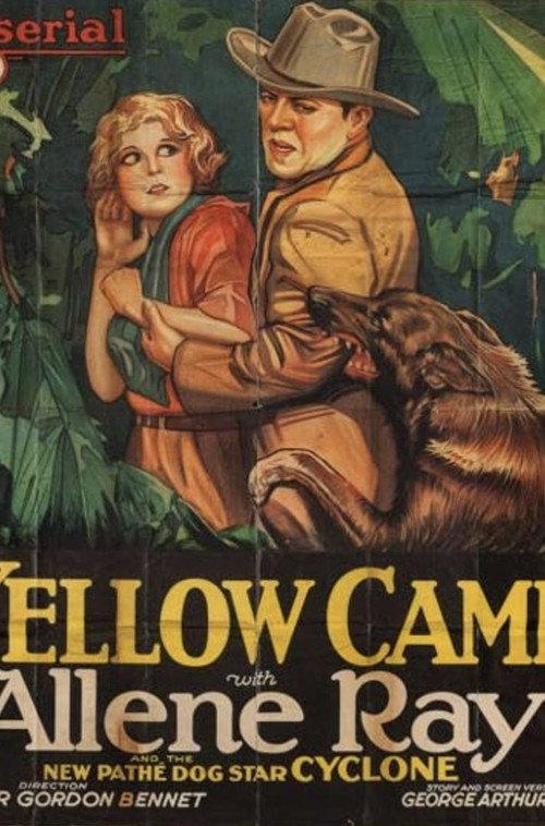 The Yellow Cameo backdrop
