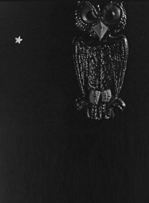 The Spider and the Fly backdrop