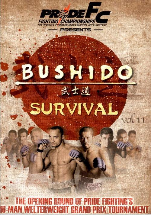 Pride Bushido 11 backdrop