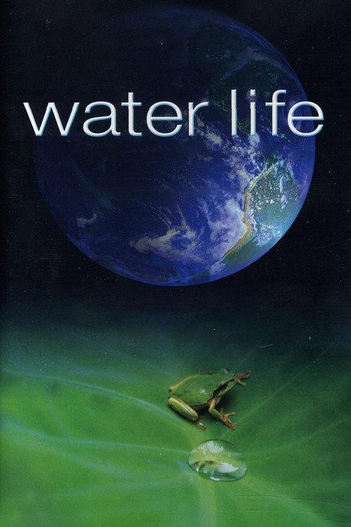 Water Life A World of Water backdrop