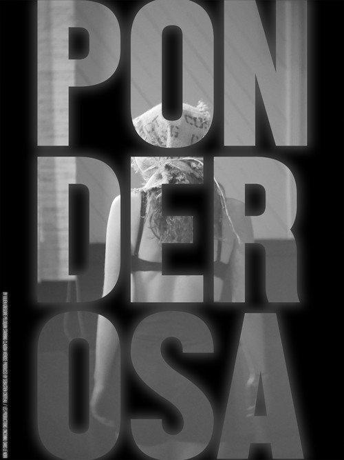 Ponderosa backdrop