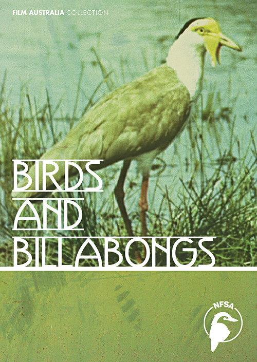 Birds and Billabongs backdrop