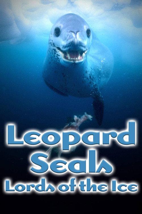 Leopard Seals: Lords of the Ice backdrop