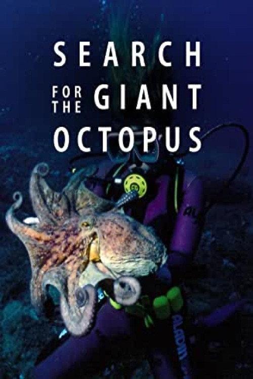 Search for the Giant Octopus backdrop