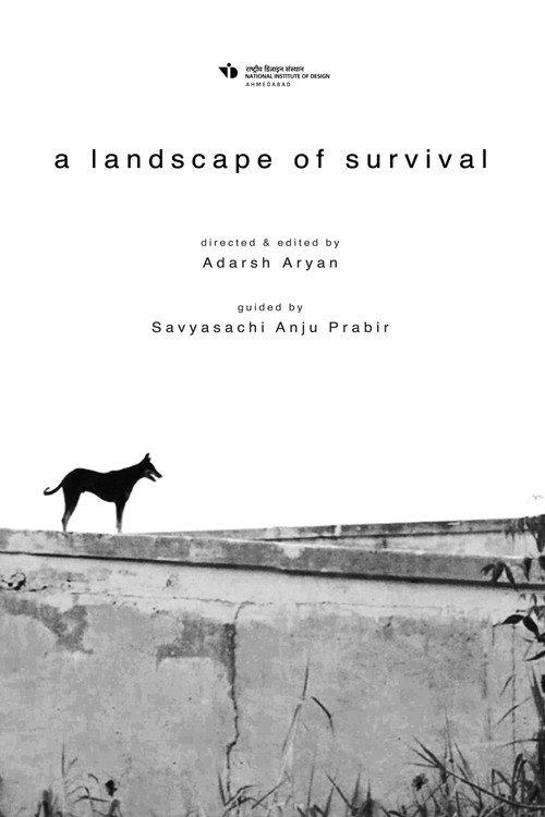 a landscape of survival backdrop