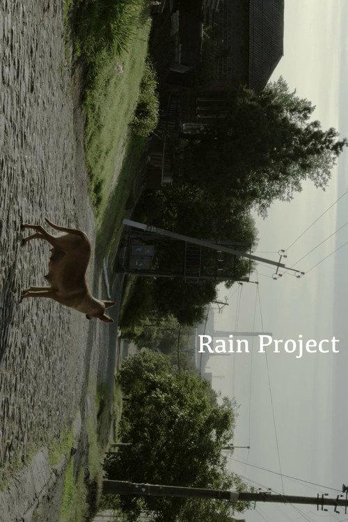 Rain Project backdrop