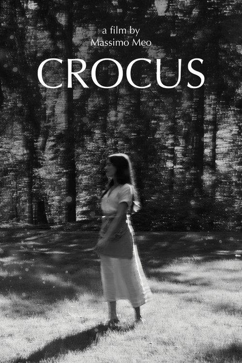 Crocus backdrop