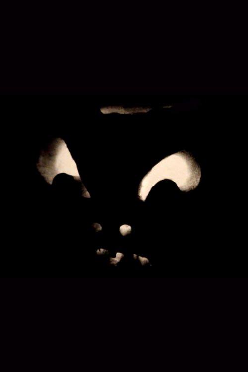Jack-O-Lanterns backdrop
