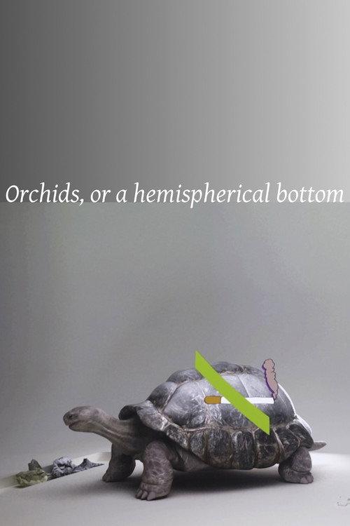 Orchids, or a hemispherical bottom backdrop