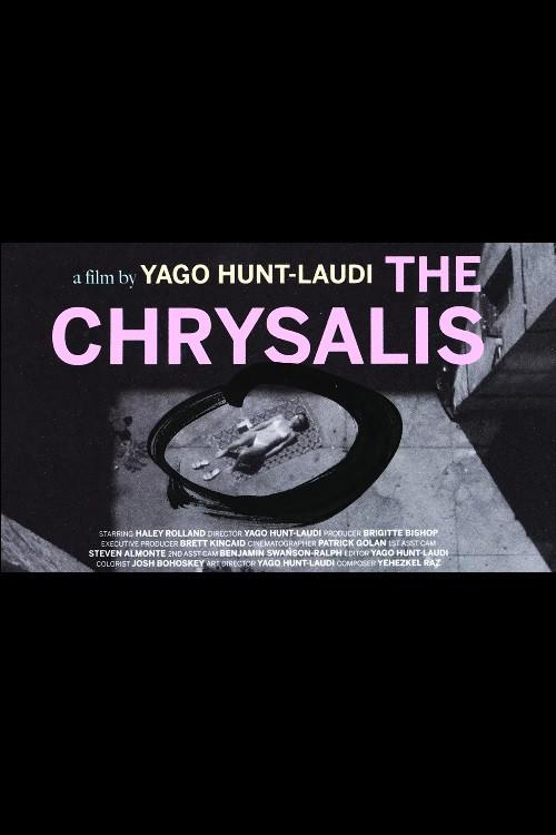 The Chrysalis backdrop