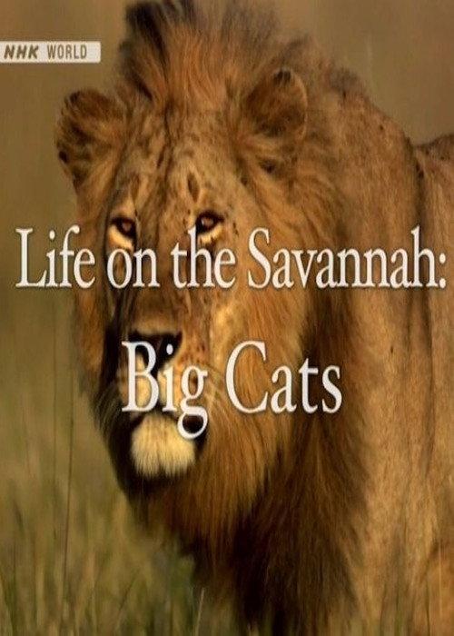 Life on the Savannah: Big Cats backdrop
