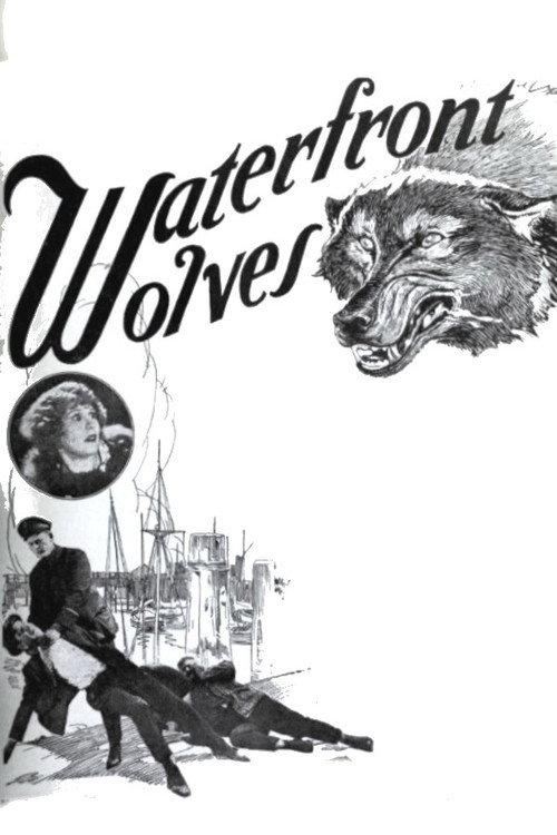 Waterfront Wolves backdrop