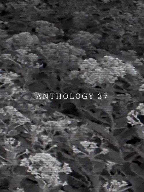 Anthology 37 backdrop