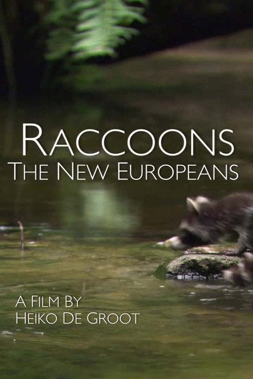 Raccoons: The New Europeans backdrop