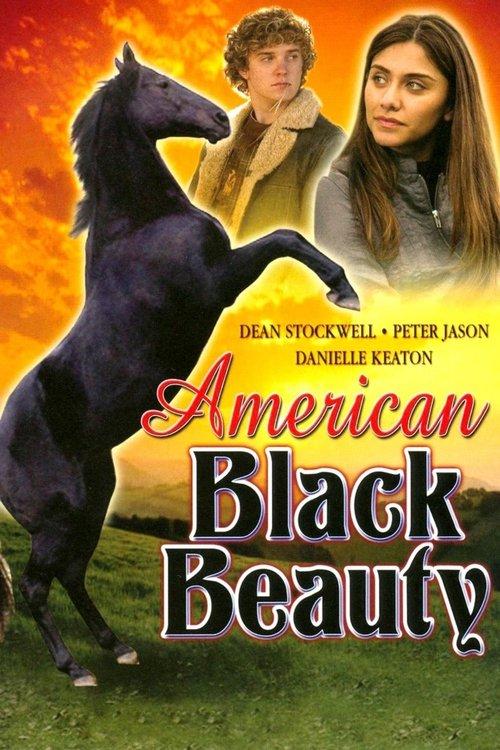 American Black Beauty backdrop