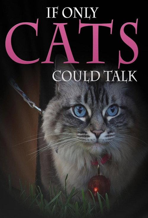 If Only Cats Could Talk backdrop
