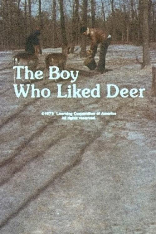 The Boy Who Liked Deer backdrop