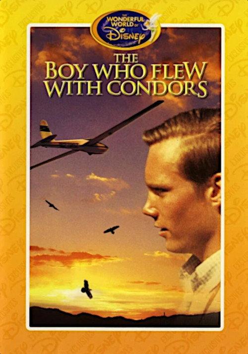 The Boy Who Flew with Condors backdrop
