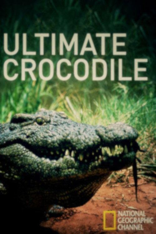 The Ultimate Crocodile backdrop