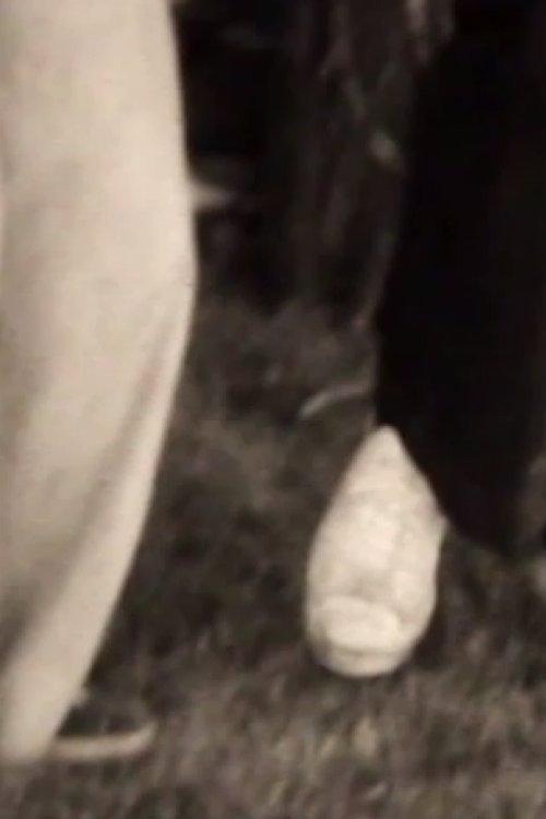 Tai Chi II backdrop