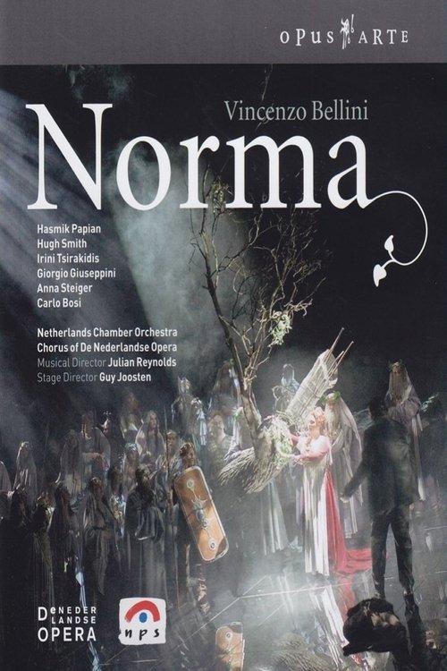 Vincenzo Bellini - Norma (De Nederlandse Opera) backdrop