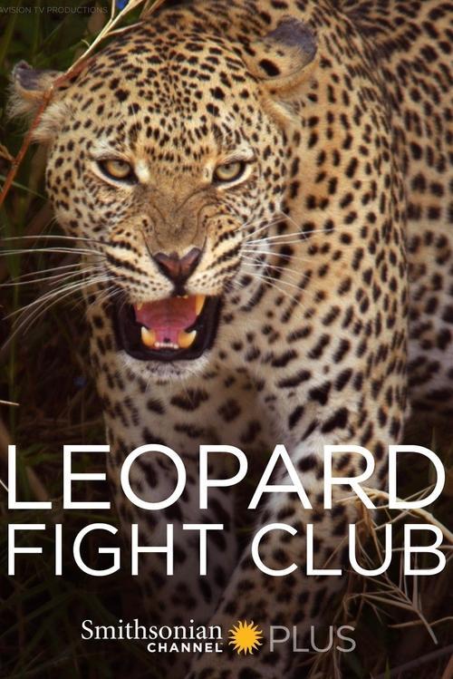 Leopard Fight Club backdrop