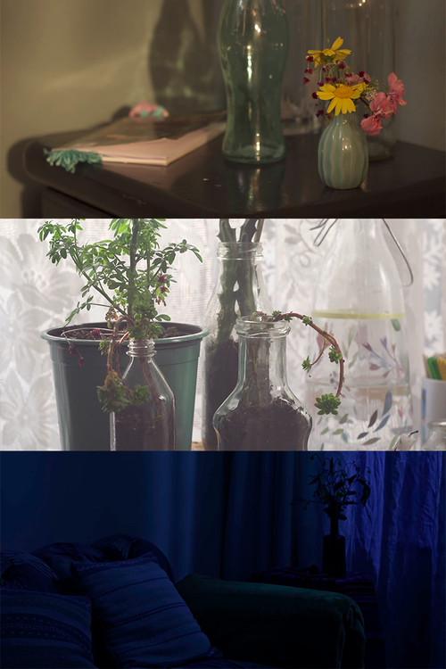 The Sleeping Beauty backdrop