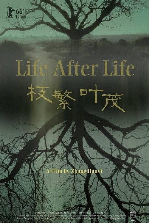 Life After Life backdrop