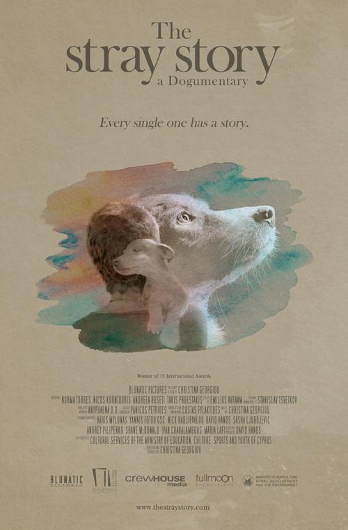 The Stray Story: A Dogumentary backdrop