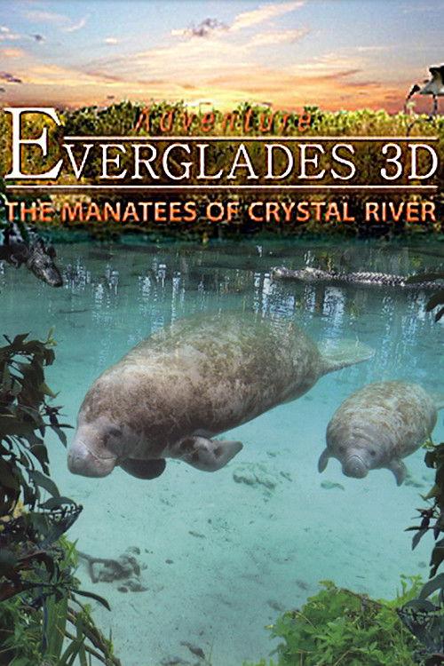 Adventure Everglades 3D - The Manatees of Crystal River backdrop