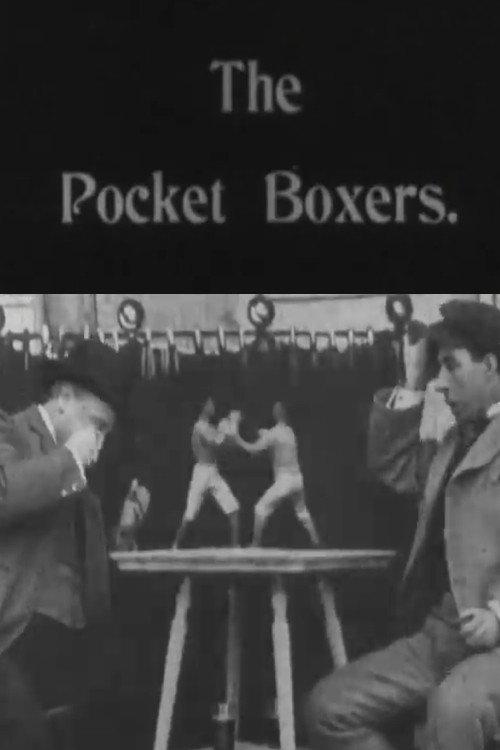 Pocket Boxers backdrop