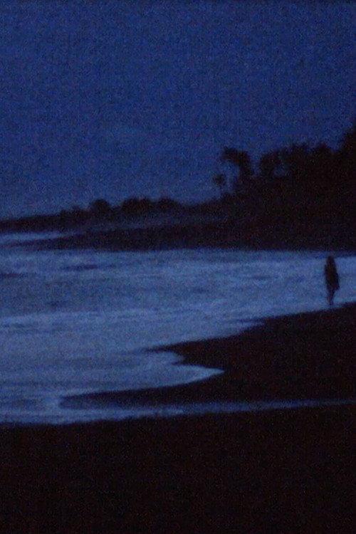 A conversation with the ocean backdrop
