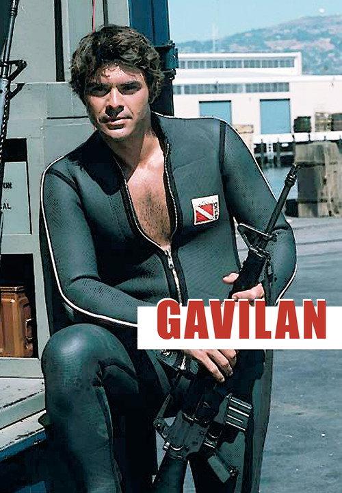 Gavilan backdrop