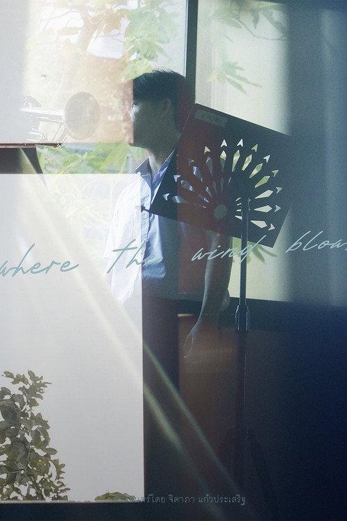 where the wind blows backdrop