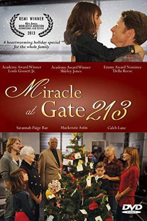 Miracle at Gate 213 backdrop