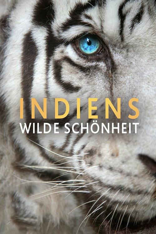 India's Wild Beauty backdrop