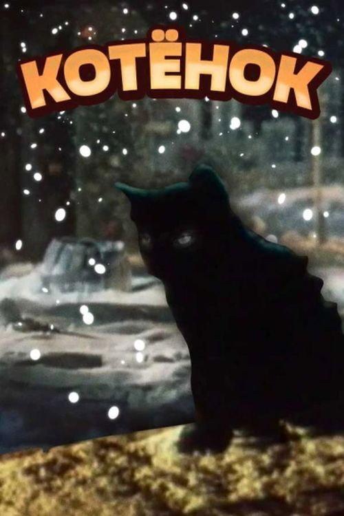 The Kitten backdrop