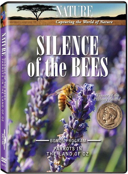 Silence of the Bees backdrop