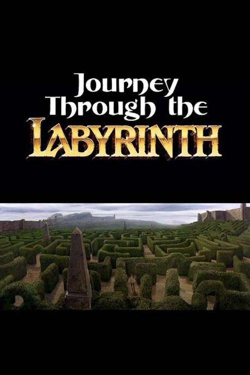 Journey Through the Labyrinth backdrop